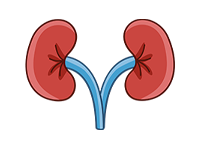 Kidney Care